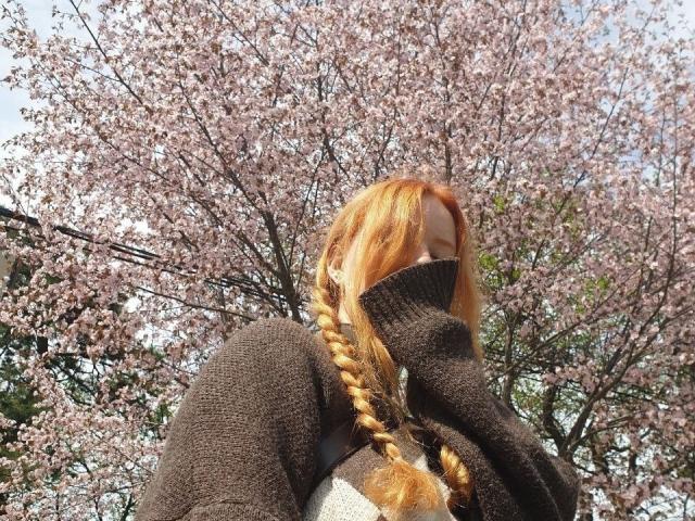 MichaelEuber with red braided hair, wearing a brown knit sweater, covering mouth, standing in front of a pink cherry blossom tree.