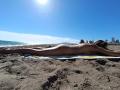 LaFrancaise is lying naked on a beach, sunbathing with her ass and back visible, arms stretched out, on a yellow and white towel, under a bright blue sky.