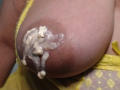 ZoeHotXX's large tits covered in thick, white, sticky cum with small, white, chunky pieces hanging off. She's wearing a yellow lace top.